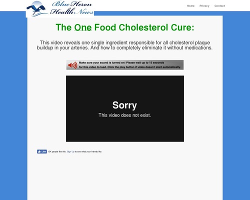 The Oxidized Cholesterol Strategy vsl cb | Blue Heron Health News