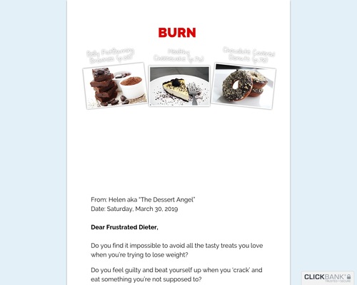 The Dessert Angel - Healthy Desserts Cookbook