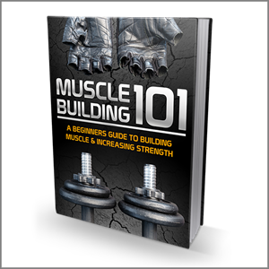 Muscle Building 101