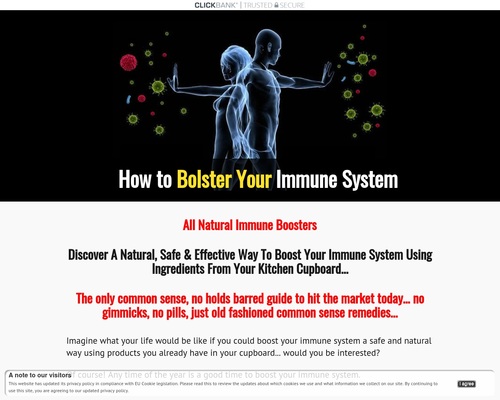 How to Bolster Your Immune System &mdash; How to Bolster Your Immune System